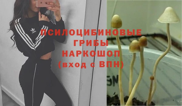 кокаин колумбия Козловка