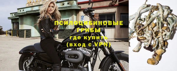 тгк Козельск