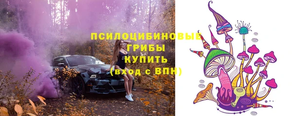тгк Козельск