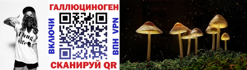 Купить закладки  Октябрьск  Галлюциногенные грибы мухоморы 
